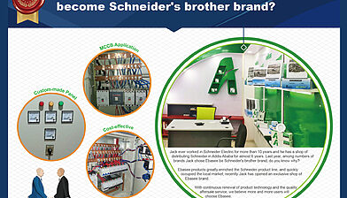 How did Ebaseebecome Schneider's brother brand?