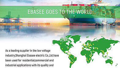 EBAEEE Electric Market Visit