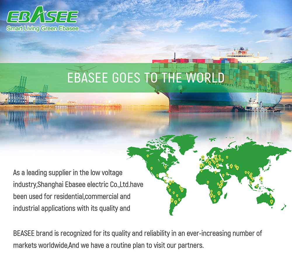 EBAEEE Electric Market Visit