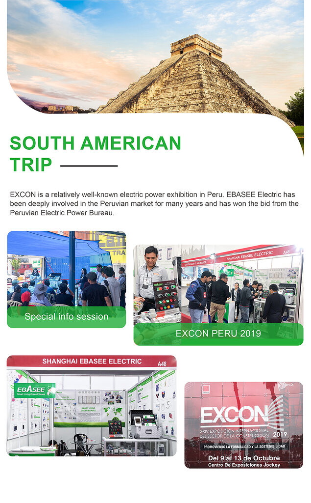 EBAEEE Electric Market Visit